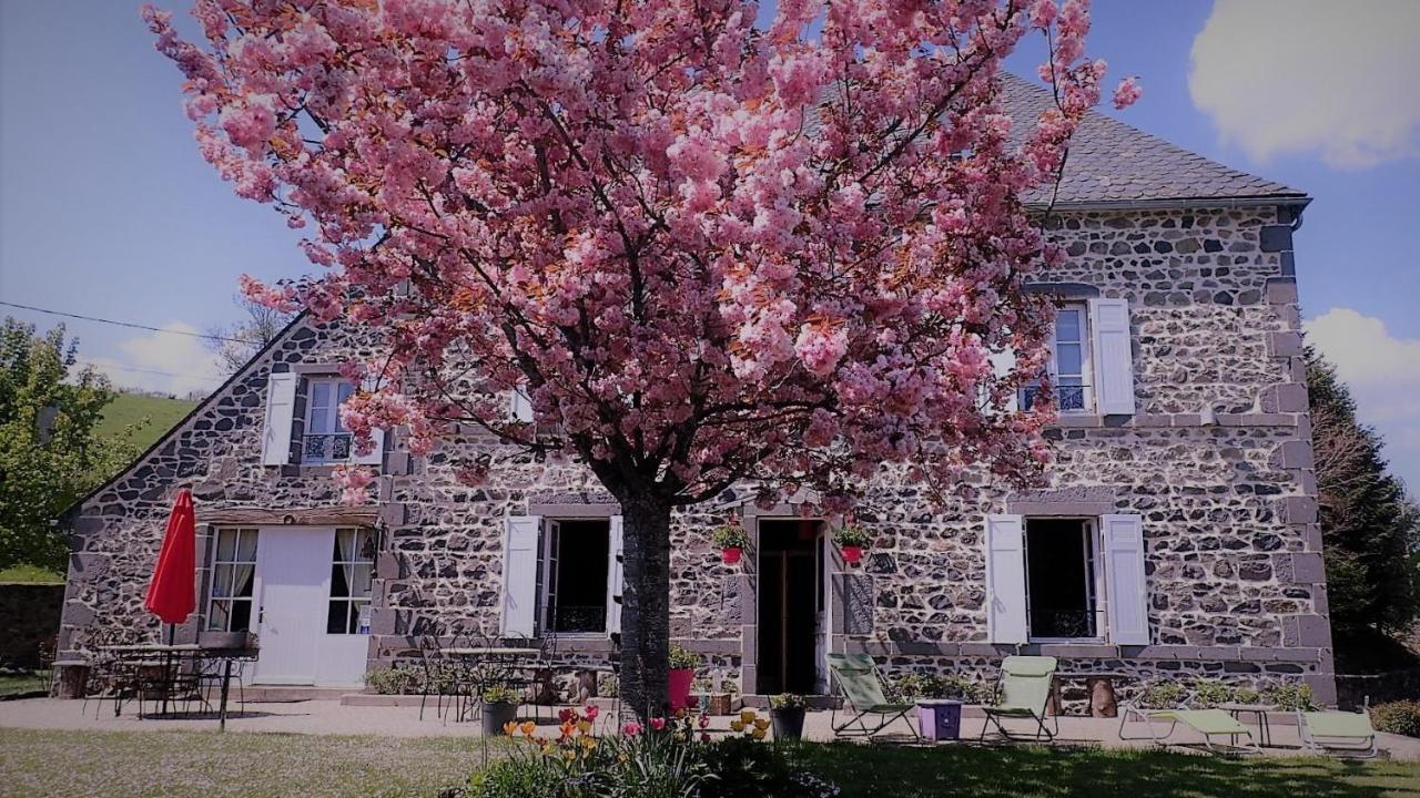Maison D'Hotes La Nichee Rochefort-Montagne Exterior photo
